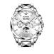 OUPINKE Original Men's Automatic Watch Luxury Sapphire Crystal Mechanical S