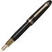 Foto von Profit Kajuaru L Suteiburu Gold Torimu Fountain Pen