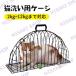 �y2�h�A�E5�T�C�Y�z�L �����C �L���C�P�[�W �����P�[�W �L�p�P�[�W �V�����[�o�b�O �L�􂢗p�P�[�W �L���b�g�P�[�W ���� �a�@ �B �E�� �����^�ѕ֗� ���J���� �֘A�摜1
