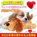 [10 kind selection possibility ] heart .. sound . go out separation un- cheap mitigation un- cheap . peace ..... dog. heart ... put on ... Heart beet attaching dog toy ... large / medium sized / small size dog . dog sleeping assistance 