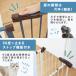 �y�b�g �Q�[�g �g���ł���X�`�[���Q�[�g �y�X�^���_�[�h�^�C�v�z �{��  �g���t���[�� �y�b�g �Q�[�g �˂����� ������� �� �� �L �y�b�g�Q�[�g �y�b�g�t�F���X �֘A�摜3