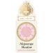  Shiseido Majolica Majorca majo scope Shadow PK122pio колено. ... крупный . прекрасное платье .. ламе модель ( тени для век )