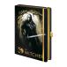 (wi коричневый -) The Witcher официальный товар Forest Hunt Note premium A5 память . регистрация .BS4120 ( черный / Gold 