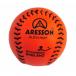 (areson) Aresson Autocrat кожа launda-z мяч CS387 ( orange / черный )