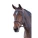 (b Rena m) Blenheim лошадь для кожа Polo Broba ndo верховая езда сбруя сумма кожа сигнал скольжение ER195 ( красный )