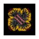 ( железный * Maiden ) Iron Maiden официальный товар унисекс Number Of The Beast van da Nascar f носовой платок RO69