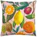 (�G���@���X�E���b�`�t�B�[���h) Evans Lichfield Citrus �N�b�V�����J�o�[ ���O�p ������� �C���e���A (�J�o�[�̂�)