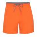 (as Kiss * and * лиса ) Asquith &amp; Fox мужской плавки купальный костюм море хлеб RW6242 ( orange / темно-синий )
