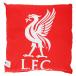 liba бассейн футбол Club Liverpool FC официальный товар k rest дизайн подушка Англия футбол 