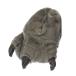  Kids * ребенок * Junior Monstar пара туфли без застежки тапочки салон обувь SL151 ( серый )