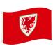  way ruz футбол ассоциация FA Wales официальный товар k rest флаг флаг TA10232 ( красный )