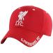 liba бассейн * футбол Club Liverpool FC официальный товар унисекс Frost колпак шляпа шляпа TA11067 (