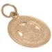  cell tik футбол Club Celtic FC официальный товар k rest подвеска с цепью TA5013 ( Gold )