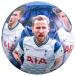 totenam* hot spa- футбол Club Tottenham Hotspur FC официальный товар фотография футбольный мяч TA8476 (