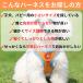 �� �n�[�l�X �p�s�[ ���^�� ���^�� �����Ȃ� �ȒP���� �������  �q���n�[�l�X �\�t�g�n�[�l�X �E���Ȃ� �֘A�摜3