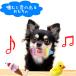 �� �������� �ʂ������ 6�Z�b�g ������ ���� ������ ��v �X�g���X���� �q�� ���^�� �֘A�摜3