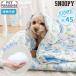  Snoopy собака покрывало летний Surf моти .. прохладный покрывало | контакт охлаждающий ... домашнее животное прохладный Kett коврик 