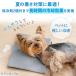 �� �y�b�g �R���p�N�g�N�[���[ �ۗ�� �N�[�� | �}�b�g �⊴ ������ �W�F�� �L �⊴ �� �����΍� �􂦂� �֘A�摜1