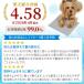 �� �y�b�g �R���p�N�g�N�[���[ �ۗ�� �N�[�� | �}�b�g �⊴ ������ �W�F�� �L �⊴ �� �����΍� �􂦂� �֘A�摜3