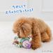 P5�{ �� �������� �f�B�Y�j�[ �g�C�E�X�g�[���[ �g�C �o�Y | ������ �������� ���� �������ŗV�ڂ� ���������� �y�b�g�g�C �ߋ� TOY  �o�Y�E���C�g�C���[ �֘A�摜1