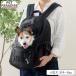 �� �L�����[ �o�b�O �f�B�Y�j�[ �~�b�L�[�}�E�X �u���b�N ���^�� ��4�`6kg | �����b�N �ʉ@ ��� ��яo���h�~