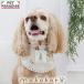  собака одежда зима Hokarela бандана средний собака большой собака | well nes бежевый spa все SPAORE релаксация горячие источники . камень дальняя инфракрасная область sinia. собака уход удобный 