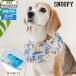  Snoopy собака прохладный шея summer bake-shon прохладный шея контакт охлаждающий лето тепловая защита средний собака большой собака | прохладный контакт охлаждающий лето тепловая защита охлаждающие средства 