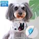  dog clothes summer cool neck cool bandana Lisa . gas pearl small size dog marine | cooling agent .... neck cooler neck origin dog. clothes heat countermeasure . middle . measures mail service possible 