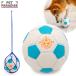 �� �������� �T�b�J�[�{�[�� �g�C �� 10cm ������ | �z���C�g �~���g�u���[ ���e�b�N�X �������� ���� �{�[�� ������ �I���`��