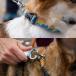 ���t�E�F�A �N���b�O�J���[ �� ��� ��^�� ���^�� ���^�� (ruffwear) �֘A�摜3