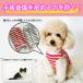 �� �p�㕞 �w���J�� �G���U�x�X�J���[ �I�X ���X ���^�� ���N�� �H�~ (�y�b�g�A�p����) �֘A�摜2