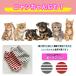 �� �p�㕞 �w���J�� �G���U�x�X�J���[ �I�X ���X ���^�� ���N�� �H�~ (�y�b�g�A�p����) �֘A�摜3