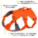 ���t�E�F�A  �E�F�u�}�X�^�[�n�[�l�X SS25 ���^�� ���^�� ��^��  �� (ruffwear) �֘A�摜1