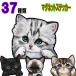  cat sticker magnet pretty car Ame show three wool cat car m cat order goods present cat illustration Silhouette lovely face 