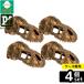 [ коробка продажа 4 шт. комплект ]*jeksPT2860 T-REX Skull S