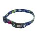 *petioPCATCOLLAR Star цвет голубой 