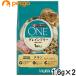pyulina one кошка 1 лет из все возраст . серый n свободный chi gold 1.6kg×2 шт [ массовая закупка ]