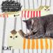 [ бесплатная доставка ]iCat I кошка оригинал ...... кошка длинный [ уголь salmon / желтый зеленый ]