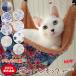  cat hammock 2024 year spring for summer [ Sara . mesh specification ] spring summer is possible to choose 6 kind cat ferret small animals also cat illustration stripe lovely withstand load 15kg