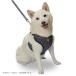 �� �n�[�l�X �疜�� 3�� 4���T�C�Y �`���[���t�� �����͗l �a�� �a�� ���^�� ���� ���U�� �ȒP���� ���C�~�� �����`���[�� �C�k ���� �֘A�摜3