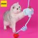  товары для домашних животных кошка ...... игрушка zeze CAT STRING TOY Elephant
