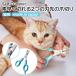  кошка для принадлежности для ремонта и ухода petioPetio SelfTrimmer собственный триммер spa. быстрый прервать 2.. лезвие прежний кошка для кусачки для ногтей сделано в Японии все кошка вид cut 