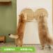  кошка walk кошка подножка кошка сопутствующие товары товары для домашних животных кошка мебель коготь точить орнамент домашнее животное симбиоз кошка часть магазин прокат рекомендация LOCUS круглый коготь точить панель MZ0005