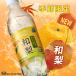 �Y�_�� 500ml 24�{ ���Y�_�� �A�C���X�I�[���} �I�ׂ� ���x�����X �W���W���[�G�[�� �a�� ������ �t���[�o�[ �A�C���X�t�[�Y �N���X�^���X�p�[�N * �֘A�摜5