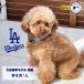 MLB���� �h�W���[�X ��J�J���[ L [�t�@���^�W�[���[���h]