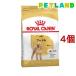 CJi u[hwXj[gV v[h p ( 3Kg*4RZbg )/ CJi(ROYAL CANIN) ( hbOt[h )