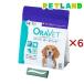 o-la bed dog for dental chewing gum M ( 14 piece insertion ×6 set )