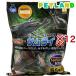  Insect Land насекомое желе Samurai Flat 55 ( 55 штук ×12 комплект )/ Insect Land 