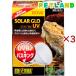 �G�L�]�e�� �\�[���[�O���[UV 80W ( 3�Z�b�g )/ �G�L�]�e��