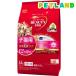 �r���[�e�B�[�v�� �L���b�g �q�L�p 12�������܂� ( 1.5kg )/ �r���[�e�B�[�v�� ( �L���b�g�t�[�h )
